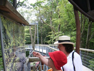 Holiday apartment Alice's Apartment 2 - Environment photo 20