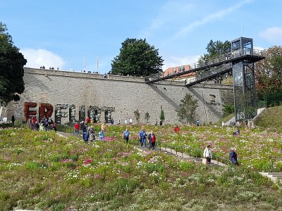 Holiday apartment Alice's Apartment 2 - Environment photo 25