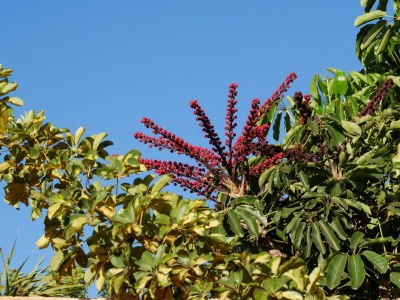 Holiday house Holiday home Casa del Campo - Environment photo 31