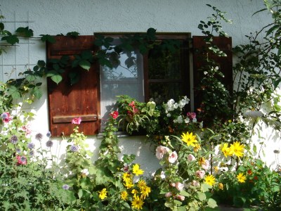 Apartment Lipp - Outdoor photo 4