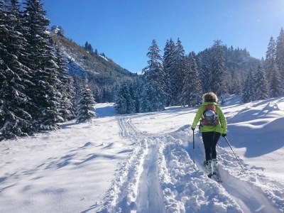 Apartment Lipp - Outdoor photo 10