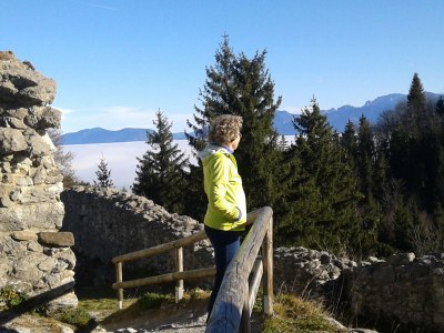 Apartment Lipp - Environment photo 23