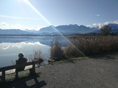 Apartment Lipp - Environment photo 24