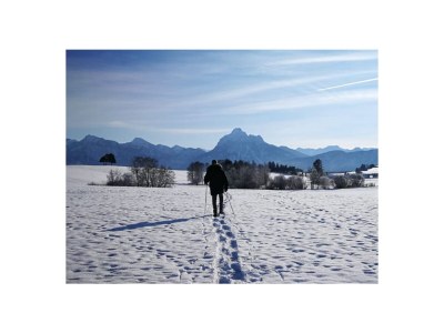 Apartment Lipp - Environment photo 25