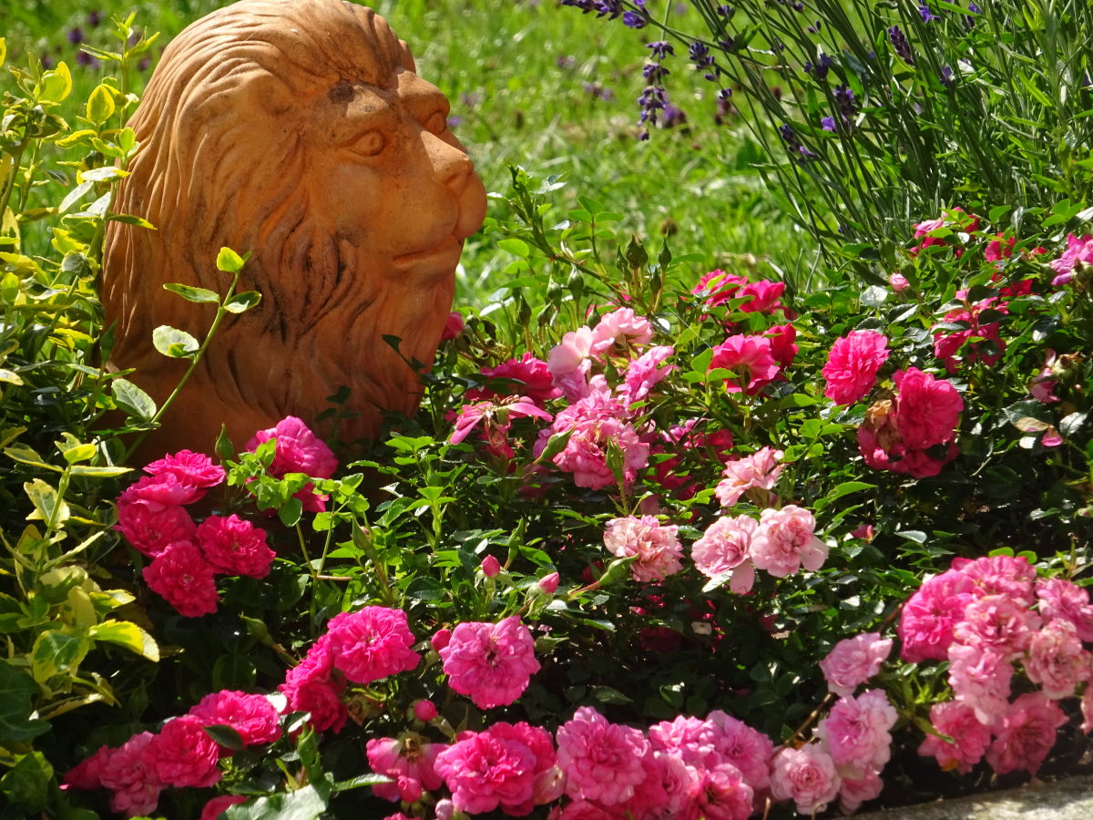 Holiday apartment Irene Dorn - Outdoor photo 2