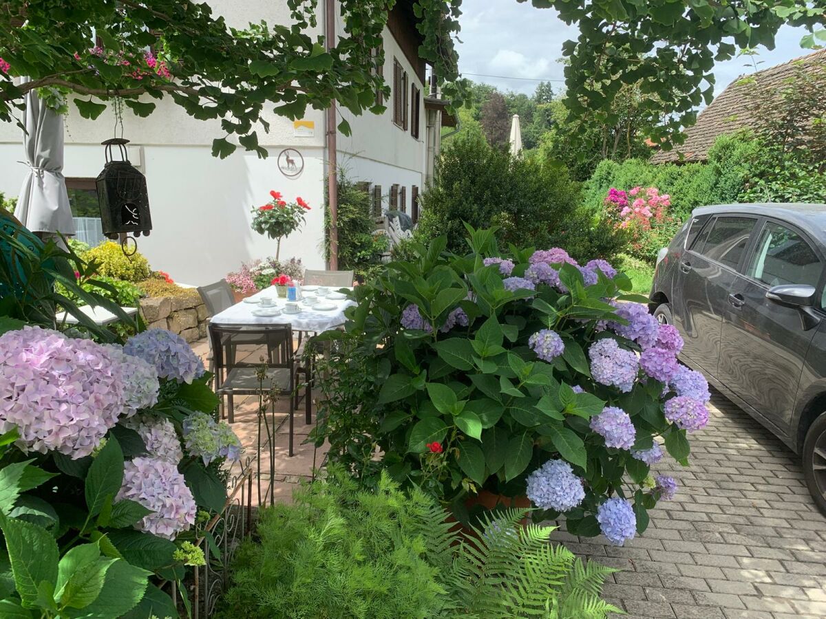 Holiday apartment Irene Dorn - Outdoor photo 4