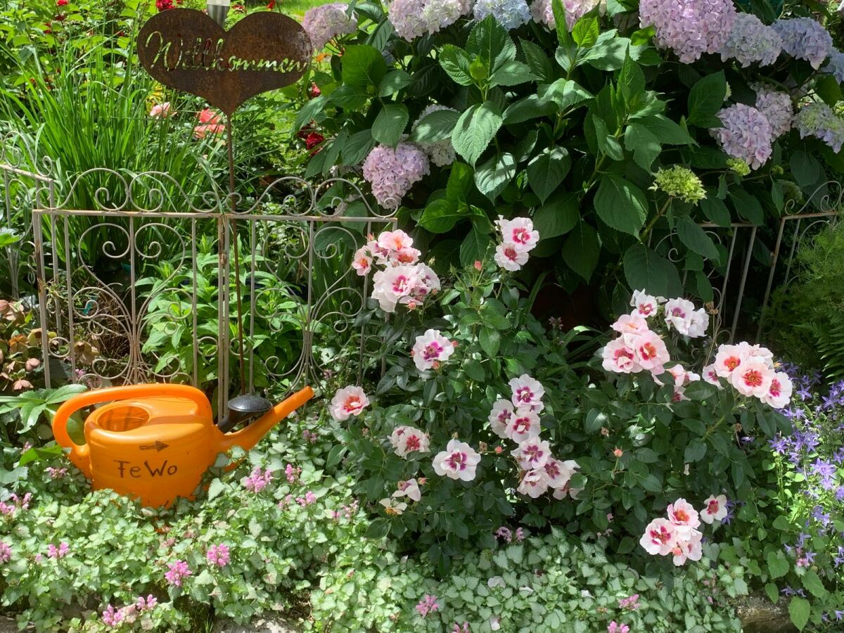 Holiday apartment Irene Dorn - Outdoor photo 5