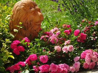 Holiday apartment Irene Dorn - Outdoor photo 2