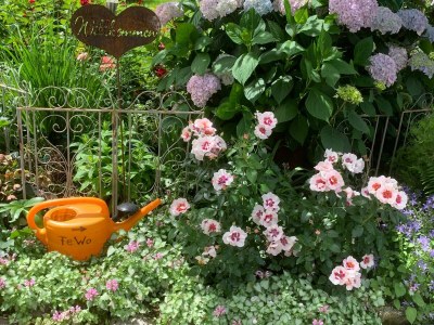 Holiday apartment Irene Dorn - Outdoor photo 5