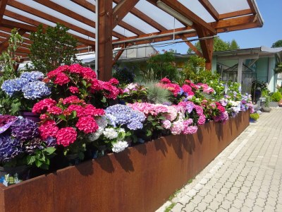 Holiday apartment Irene Dorn - Outdoor photo 11