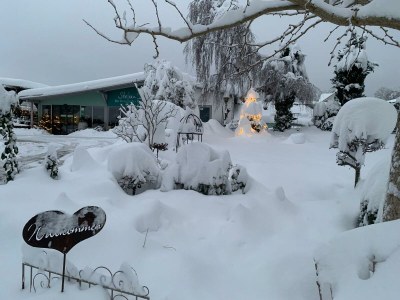 Holiday apartment Irene Dorn - Environment photo 39