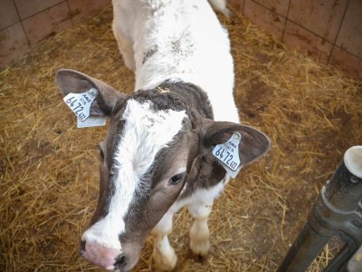 Holiday apartment Farmers Loft - Environment photo 32