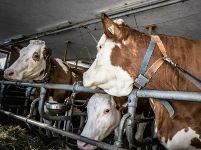 Holiday apartment Farmers Loft - Environment photo 33