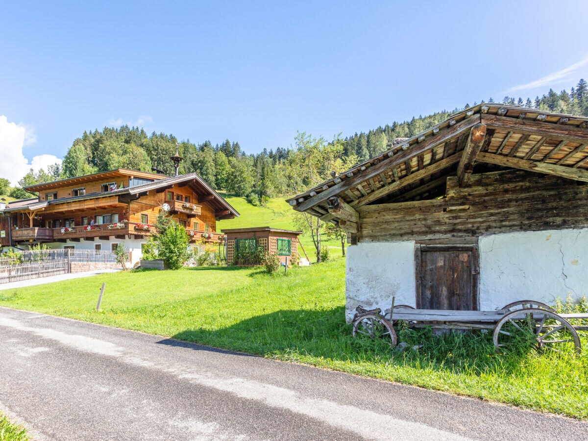 Holiday apartment Löwenzahn - Peholdgut - Outdoor photo 2