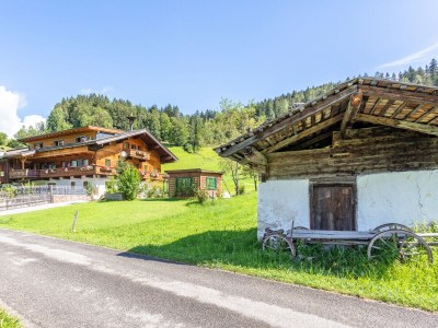 Holiday apartment Löwenzahn - Peholdgut - Outdoor photo 2