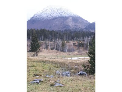 Chalet FreiZeit - Environment photo 30