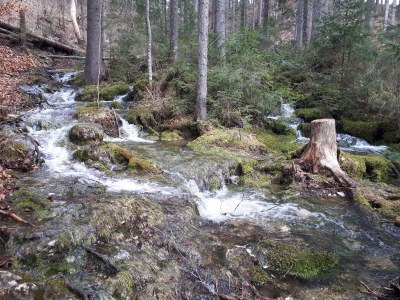 Chalet FreiZeit - Environment photo 31