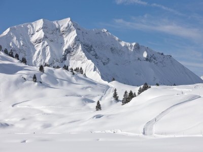 Holiday house Pfarrhof Schröcken - Environment photo 29