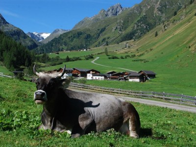 Apartment Appartement/Fewo Edelweiss - Outdoor photo 7