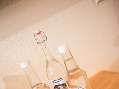 Apartment Appartement/Fewo Almrausch - Outdoor photo 11