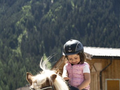 Apartment Appartement/Fewo Almrausch - Outdoor photo 14