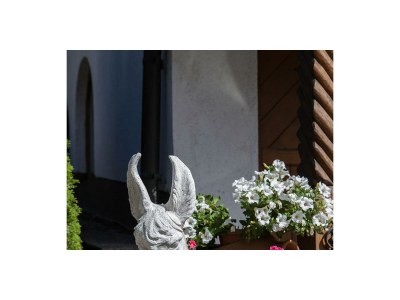 Apartment Ferienwohnung 1 - Outdoor photo 15