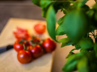 Apartment Ferienwohnung 1 - Features photo 33