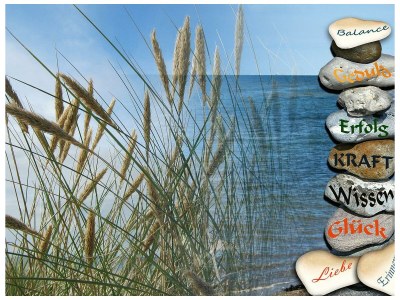 Apartment Ferienwohnung 1 - Outdoor photo 36