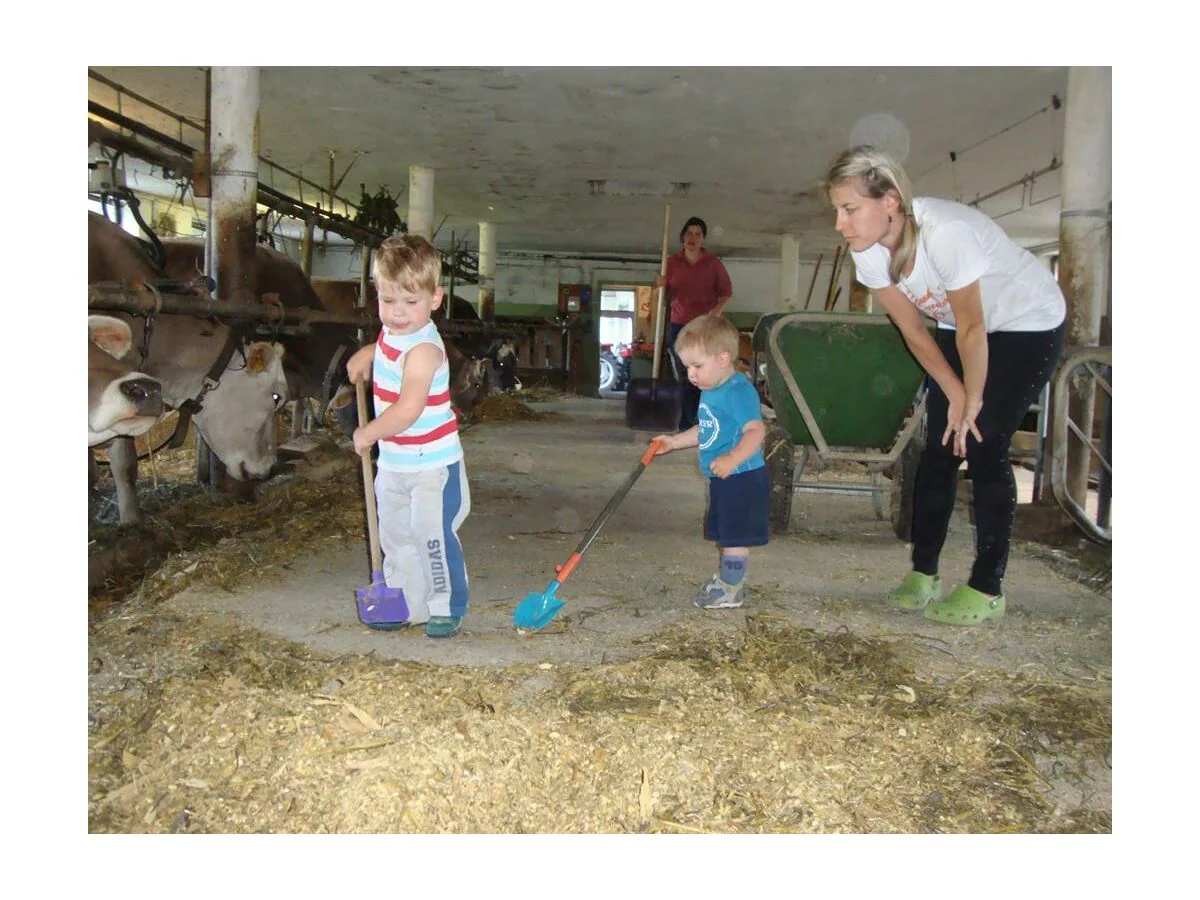 Apartment Appartement Alpenglühen - Outdoor photo 4