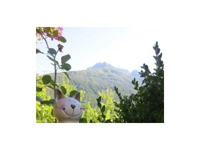 Apartment Appartement Alpenglühen - Outdoor photo 8