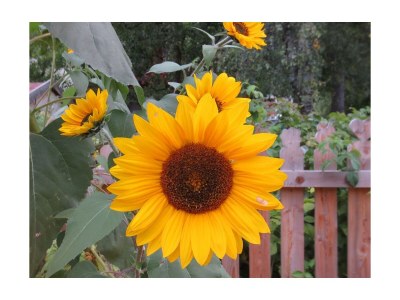 Apartment Appartement Alpenglühen - Outdoor photo 9