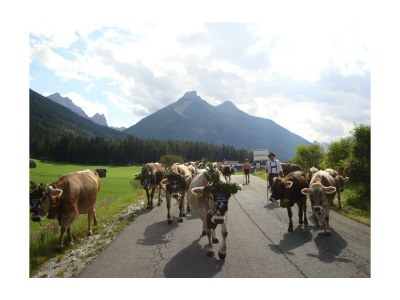 Apartment Appartement Alpenglühen - Outdoor photo 11