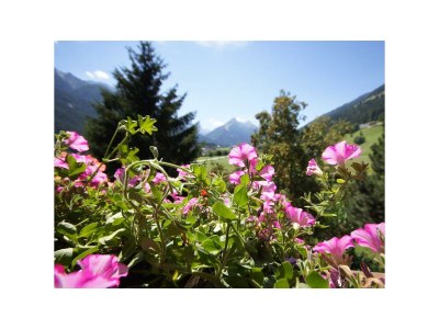 Apartment Appartement Alpenglühen - Features photo 25