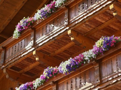 Apartment Ferienwohnung - Outdoor photo 22