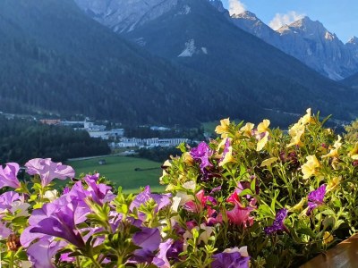 Apartment Ferienwohnung - Outdoor photo 28