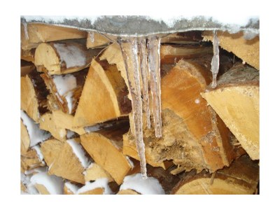 Apartment Ferienwohnung Paul - Outdoor photo 11