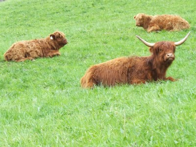 Apartment Elferblick - Outdoor photo 6