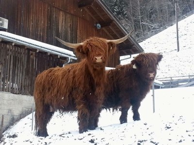 Apartment Elferblick - Outdoor photo 7