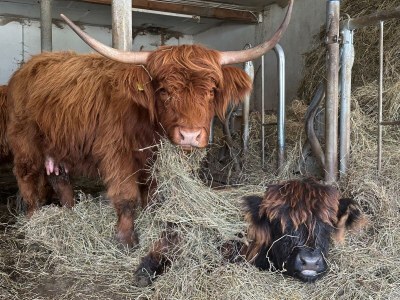 Apartment Elferblick - Outdoor photo 11