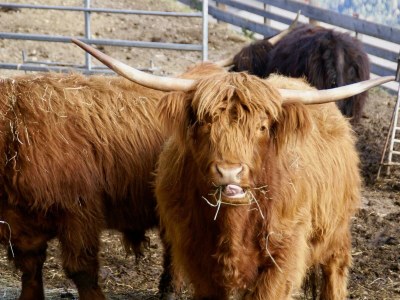 Apartment Kirchdach - Outdoor photo 4