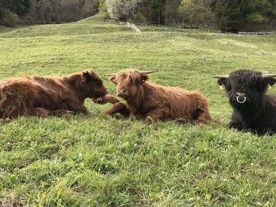 Apartment Kirchdach - Outdoor photo 12