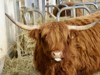 Apartment Kesselspitz - Outdoor photo 6