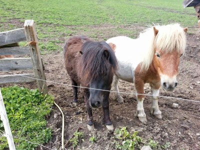 Apartment Kesselspitz - Outdoor photo 9