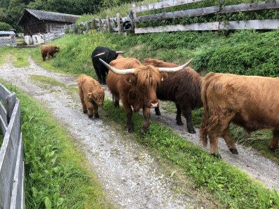 Apartment Kesselspitz - Outdoor photo 15