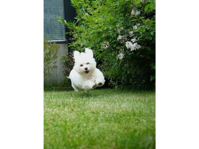 Apartment Appartement Gletscherblick NEU - Outdoor photo 55