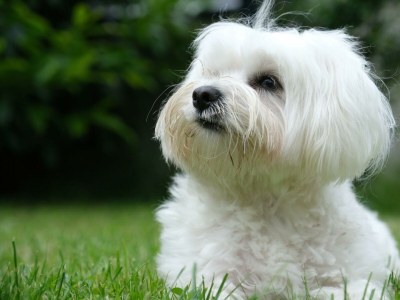 Apartment Appartement Gletscherblick NEU - Outdoor photo 57