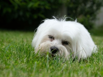 Apartment Appartement Schlick mit Zirben-Tiefen-Wärme Kabine - Outdoor photo 56