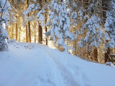 Apartment Appartement/Fewo, Dusche oder Bad, WC - Outdoor photo 19