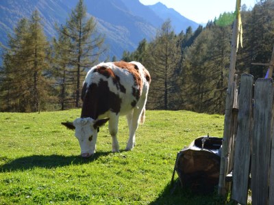 Apartment Appartement/Fewo, Dusche oder Bad, WC - Outdoor photo 23