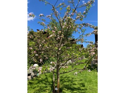 Apartment Appartement/Fewo, Dusche oder Bad, WC - Outdoor photo 24